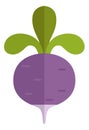 Beet icon. Sweet root symbol. Organic vegetable