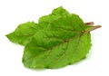 Beet leaves