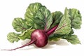 Beet leaves art. Generate Ai