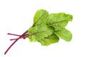 Beet leaves. Beetroot leaves, fresh beet leaf.