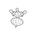 Beet with leaves. Linear outline. Vector icon and clipart. Black and white isolated illustration.