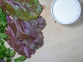 Beet leaves on the table. Parsley and sour cream. Root tops.. Useful product. Ingredient for vegetable soup Royalty Free Stock Photo