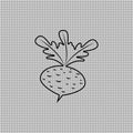 Beet with leaves. Transparent illustration and linear outline. Vector icon and clipart.