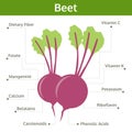 Beet nutrient of facts and health benefits, info graphic