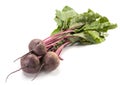 Beet purple vegetable