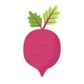 Beet, root, beetroot icon. Cute cartoon vegetable. Purple color, green leaf. Kids education. Vegetables collection. Happy Easter