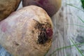 Fresh Beet-root on a wooden background Royalty Free Stock Photo