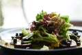 Beet Salad with Goat Cheese, Candied Walnuts, Spring Greens Royalty Free Stock Photo