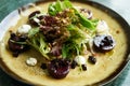 Beet Salad with Goat Cheese, Candied Walnuts, Spring Greens Royalty Free Stock Photo