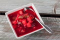Beet Soup Borscht angled view Royalty Free Stock Photo