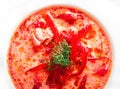 Beet soup with sour cream. Borch, traditional Ukrainian food. Royalty Free Stock Photo