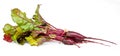 Beet with tops Royalty Free Stock Photo
