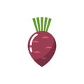 Beet vector icon