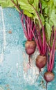 Beet on vintage sheet Royalty Free Stock Photo