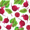 Beet watercolor seamless pattern. Beetroot plant with chard leaves and slices