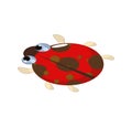 Cute little red ladybug or ladybird cartoon