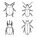 Beetle Animal Vector Illustration Hand Drawn Cartoon Art