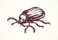 Beetle barbel. Vector drawing