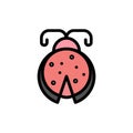 Beetle, Bug, Ladybird, Ladybug  Flat Color Icon. Vector icon banner Template Royalty Free Stock Photo