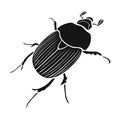 Beetle is a coleopterous insect.Arthropods insect, beetle single icon in black style vector symbol stock isometric