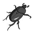 Beetle is a coleopterous insect.Arthropods insect, beetle single icon in monochrome style vector symbol stock isometric