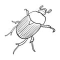 Beetle is a coleopterous insect.Arthropods insect, beetle single icon in outline style vector symbol stock isometric