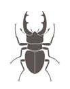 Beetle deer. Hercules beetle