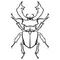 Beetle deer. Horned Beetle. Big Insect Line art