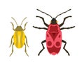 Beetle flat insect bug in cartoon style vector