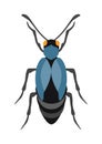 Beetle flat insect bug in cartoon style vector