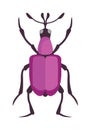 Beetle flat insect bug in cartoon style vector