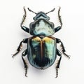 Beetle flat lay view on white background, created with generative AI