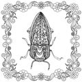 Beetle in floral frame doodle. Monochrome hand drawn ink art design elements stock vector illustration