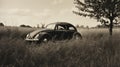 Monochrome Volkswagen Beetle In Thorny Grass A Rural Depiction