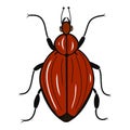 Beetle icon. Creative illustration. Colorful sketch. Idea for decors, logo, patterns, papers, covers. Isolated vector art.