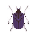 Beetle Insect, Blue and Black Bug Top View Flat Vector Illustration