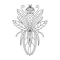 Beetle-insect coloring book. linear illustration