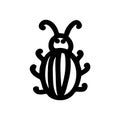 Beetle, insect, ladybug flat line art illustration in doodle style. Cute ladybug. Insect icon.