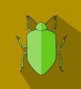 Beetle Insect Vector Illustration Royalty Free Stock Photo