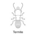 Beetle insect vector outline icon. Vector illustration bug insect on white background. Isolated outline illustration Royalty Free Stock Photo