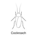 Beetle insect vector outline icon. Vector illustration bug insect on white background. Isolated outline illustration Royalty Free Stock Photo