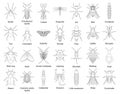 Beetle isolated outline set icon. Vector outline set icon insect . Vector illustration beetle on white background. Royalty Free Stock Photo