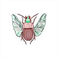 Beetle isolated vector illustration on white background. Insect as logo, print Royalty Free Stock Photo