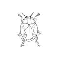 Beetle isolated vector illustration on white background. Insect as logo, print Royalty Free Stock Photo