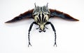 Beetle isolated on white. Goliathus orientalis black wings close up macro, collection insects