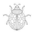 Beetle Ladybug coloring book.Ladybug linear vector