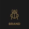 Beetle logo icon designs vector illustration Royalty Free Stock Photo