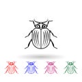 Beetle multi color icon. Simple thin line, outline of insect icons for ui and ux, website or mobile application