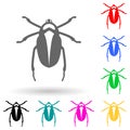 beetle multi color style icon. Simple glyph, flat vector of insect icons for ui and ux, website or mobile application