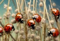 beetle nature animal ladybug red insect summer spring leaf macro. Generative AI. Royalty Free Stock Photo